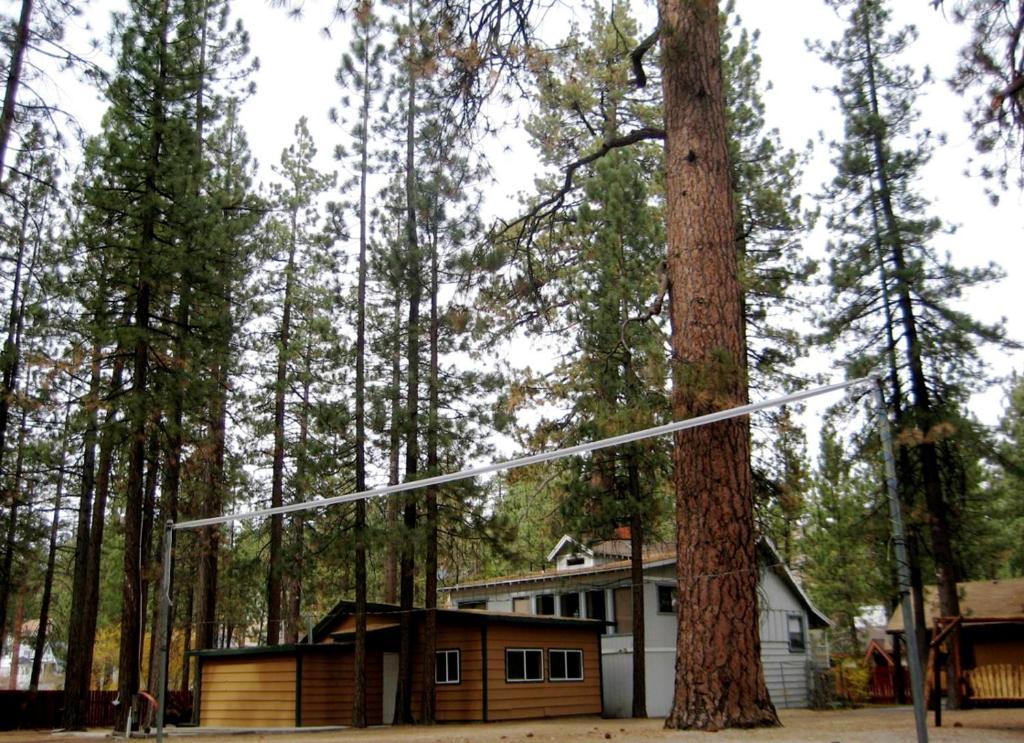 Majestic Moose Lodge - Coptic Village Big Bear Lake Luaran gambar